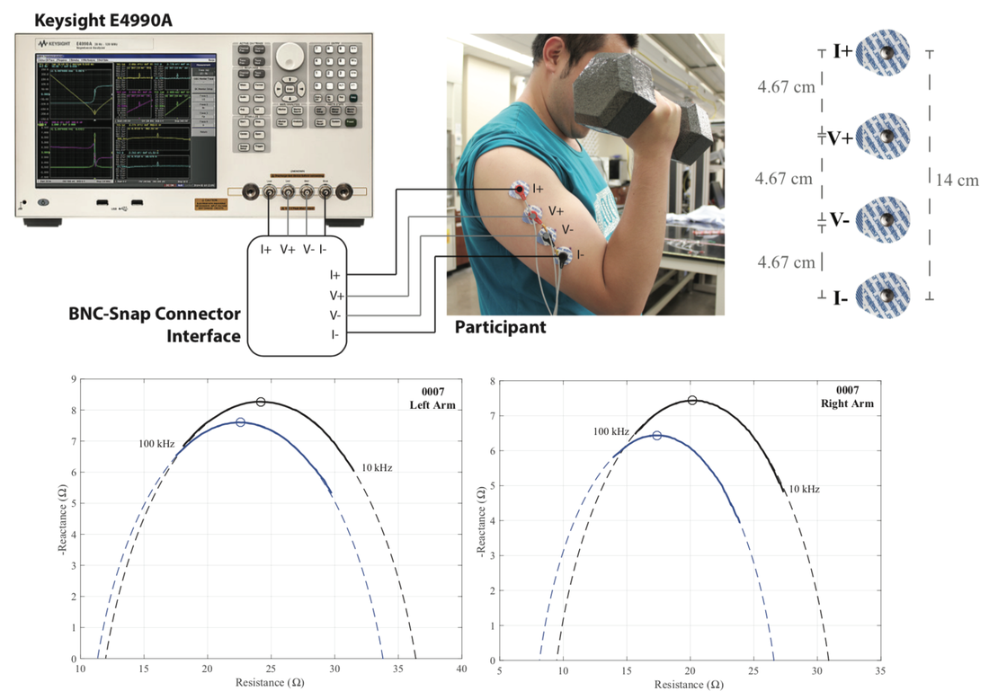 Bioimpedance measurement setup and sample data